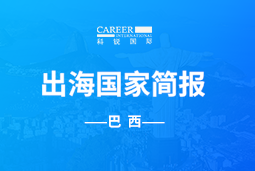 南宫28GO GLOBAL | 巴西国家简报