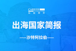 南宫28GO GLOBAL | 沙特阿拉伯国家简报